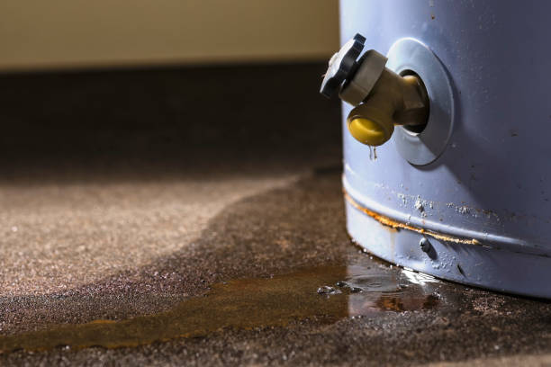 Best Flood restoration services  in Fort Defiance, AZ