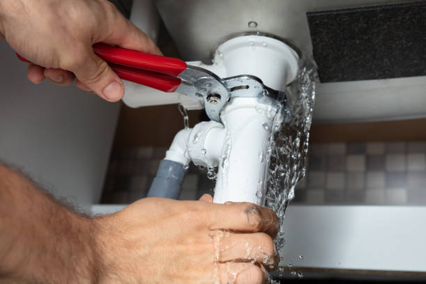 Best Flood damage cleanup  in Fort Defiance, AZ