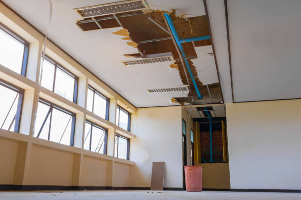 Best Water damage contractors near me  in Fort Defiance, AZ