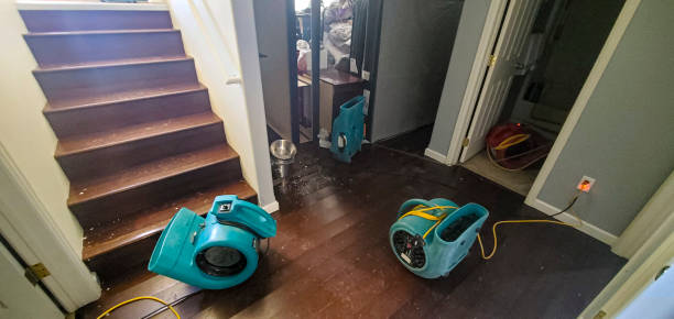 Best Commercial water damage restoration  in Fort Defiance, AZ