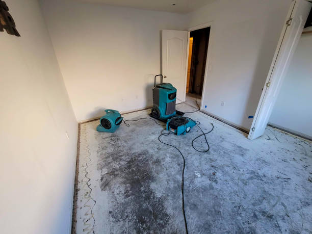 Best Sewage cleanup and water damage restoration  in Fort Defiance, AZ