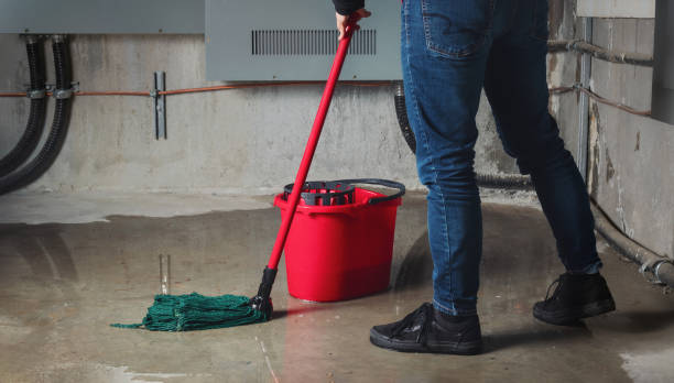 Best 24/7 water damage repair  in Fort Defiance, AZ