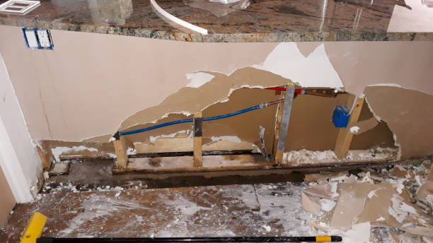 Best Ceiling water damage repair  in Fort Defiance, AZ