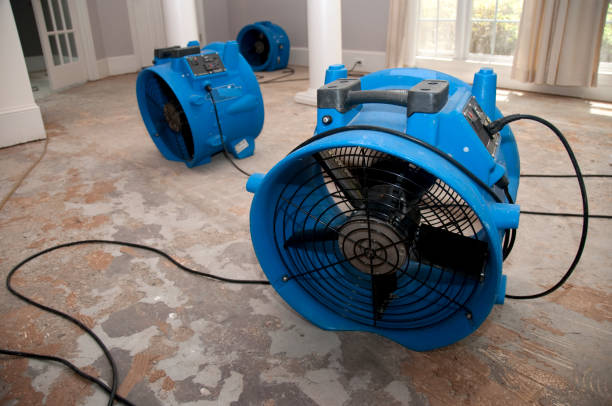 Water damage restoration insurance claims in AZ