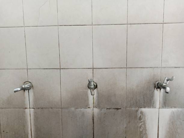 Best Flooded house restoration  in Fort Defiance, AZ