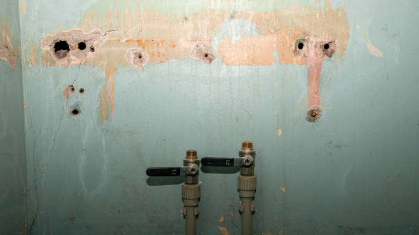 Best Professional water damage repair  in Fort Defiance, AZ