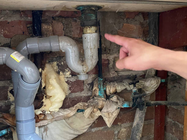 Best Emergency water damage restoration  in Fort Defiance, AZ