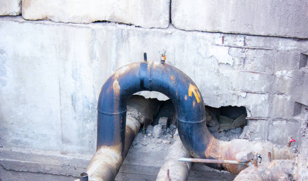 Best Water damage restoration process  in Fort Defiance, AZ