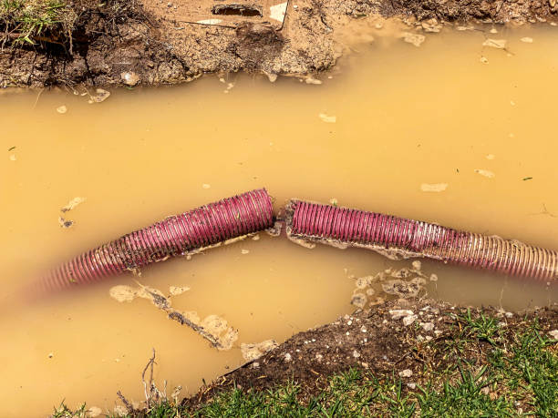 Best 24-hour water damage restoration  in Fort Defiance, AZ