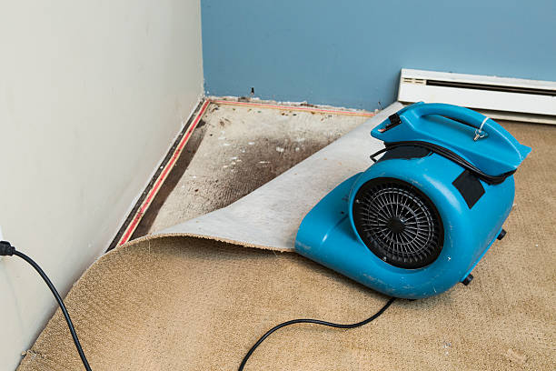 Best Flood restoration services  in Fort Defiance, AZ