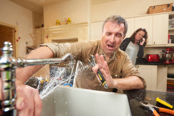 Best Basement water damage restoration  in Fort Defiance, AZ